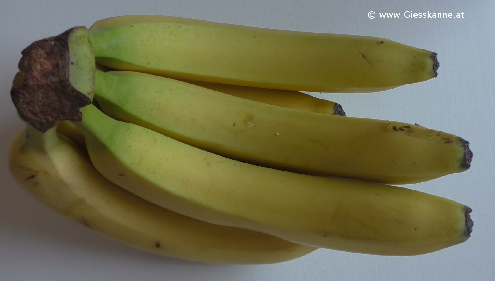 Bananen Giesskanne At