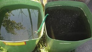 Regentonnen aus Bio-Mistkübeln