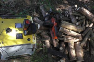 Akkumotorsäge mit Stromspeicher im Wald