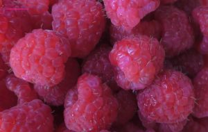 Himbeeren